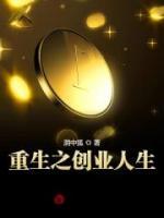 苏峥秦慕烟