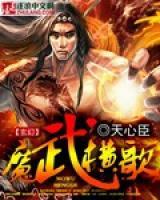 魔武小说完本
