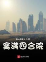 林飞秦淮茹