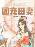 苏冰岚洛槿安