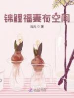 季元元秦慕丞