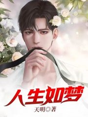 人生如梦叶天明柳韵免费阅读正版