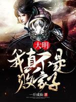 我真不是大明星小说阅读