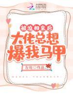 陆梵叶迟晟