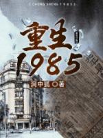 苏峥秦慕烟