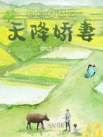 顾轻舟师玄