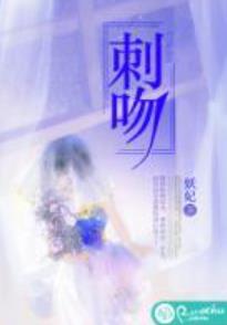 宁叶夕沈慕泽