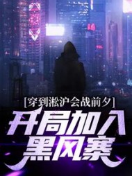 穿到淞沪会战前夕开局加入黑风寨