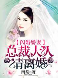 夜廷琛乐烟儿