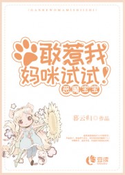 盛夏顾怀臣