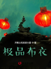 极品布衣李青山阅读