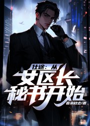 仕途:从女区长秘书开始秦峰
