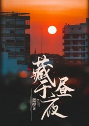 藏于昼夜大结局