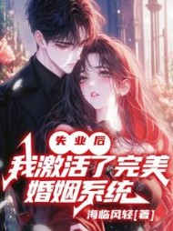 失业后，我激活了完美婚姻系统阅读