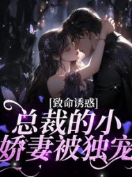 傅辰笙沈漓