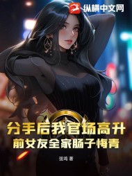 步步升途宋启魏岚阅读