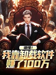 谁懂!我靠卸载软件赚了100万阅读