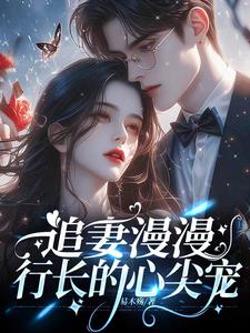 追妻漫漫行长的心尖宠阅读