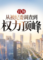 官场:从被纪委调查到权力顶峰精彩