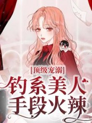 苏以沫傅司年小说
