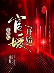 崛起从官媛开始张志刚阅读