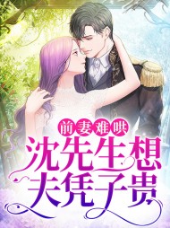 顾半夏沈司临