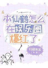 陈知年主人公的小说