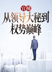 官梯:从领导大秘到权势巅峰阅读