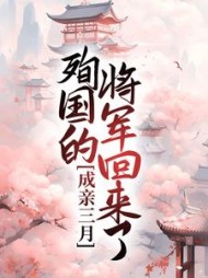 成亲三月殉国的将军回来了后续