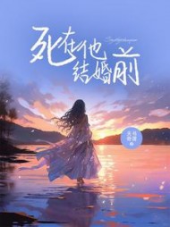 死在结婚前 小说
