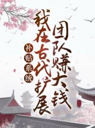 补贴系统:我在古代扩展团队赚大钱阅读