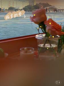 施舍的爱情是什么意思