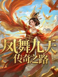 凤舞九天续集