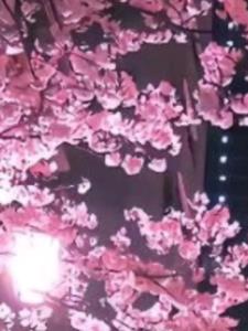 穿到女频小说