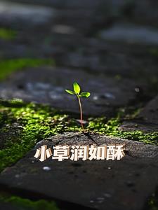 春节小雨润如酥的下一句