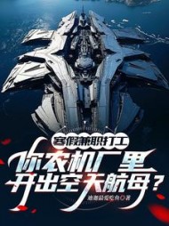 寒假兼职打工，你农机厂里开出空天航母？阅读