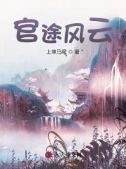 官场风光 传奇色彩