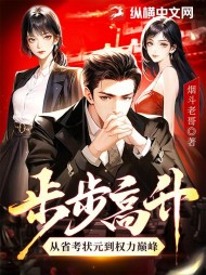 步步高升：从省考状元到权力巅峰阅读