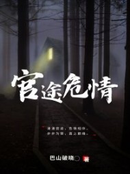 官途危情阅读