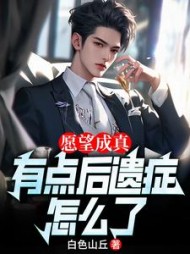 愿望成真配图