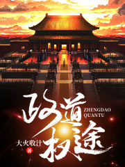 政道权途最新