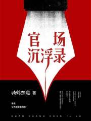 官场沉浮阅读
