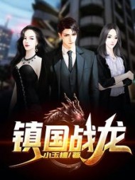 镇国战龙阅读